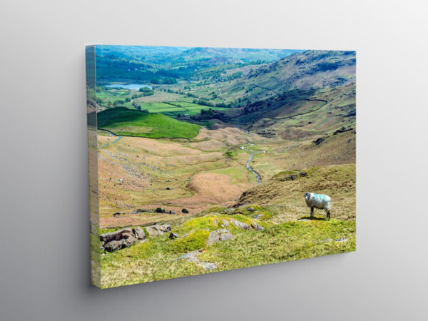 From Wrynose Pass to Little Langdale, Canvas Print