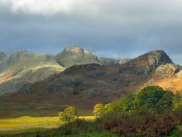 Tha Langdale Pikes from Blea Tarn Lake District