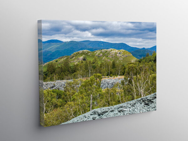 Silver Birch Trees and Slate Waste, Canvas Print