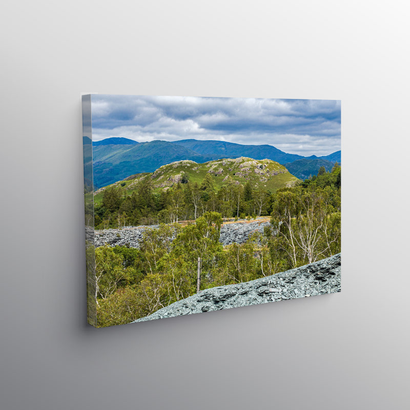 Silver Birch Trees and Slate Waste, Canvas Print